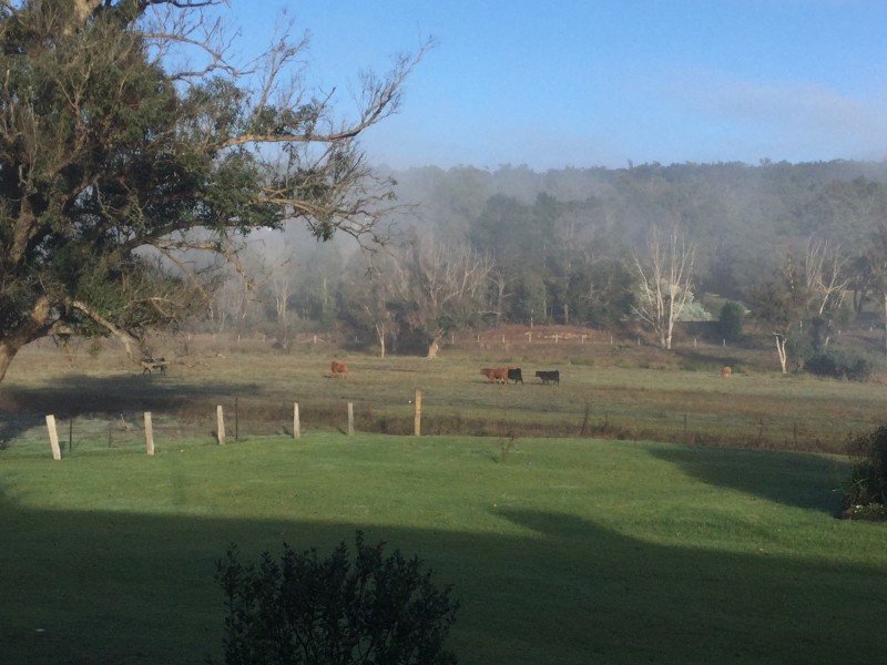 21066 South Western Highway, Mullalyup WA 6252