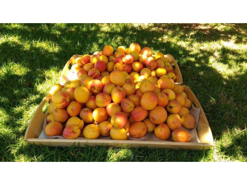 21066 South Western Highway, Mullalyup WA 6252