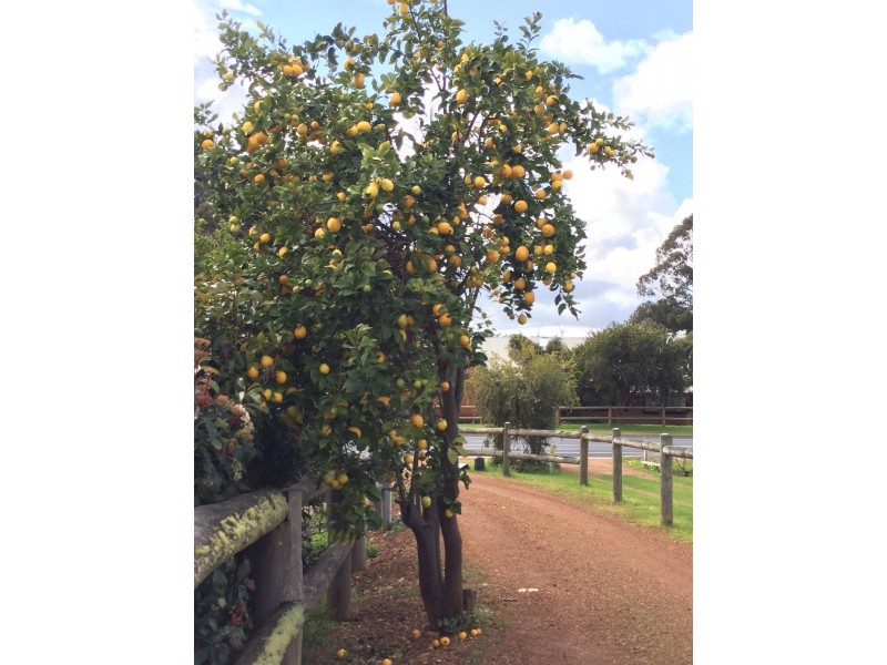 21066 South Western Highway, Mullalyup WA 6252