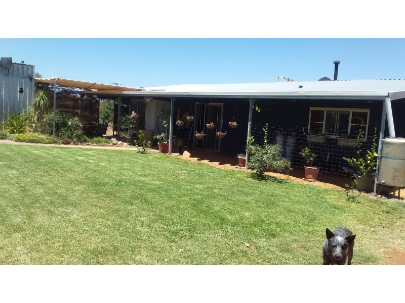 Lot 6346 Nangerwalla Road, Nunierra WA 6630