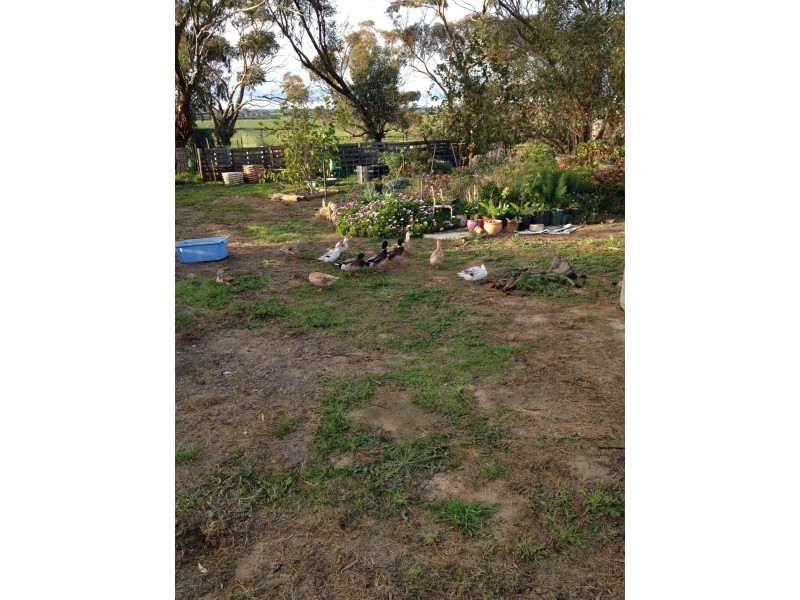 Lot 25 Liebeck Road, Bruce Rock WA 6418