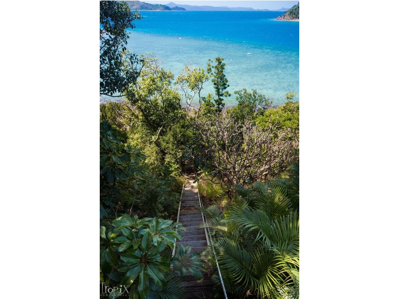 19 Warrain Street, Shute Harbour QLD 4802