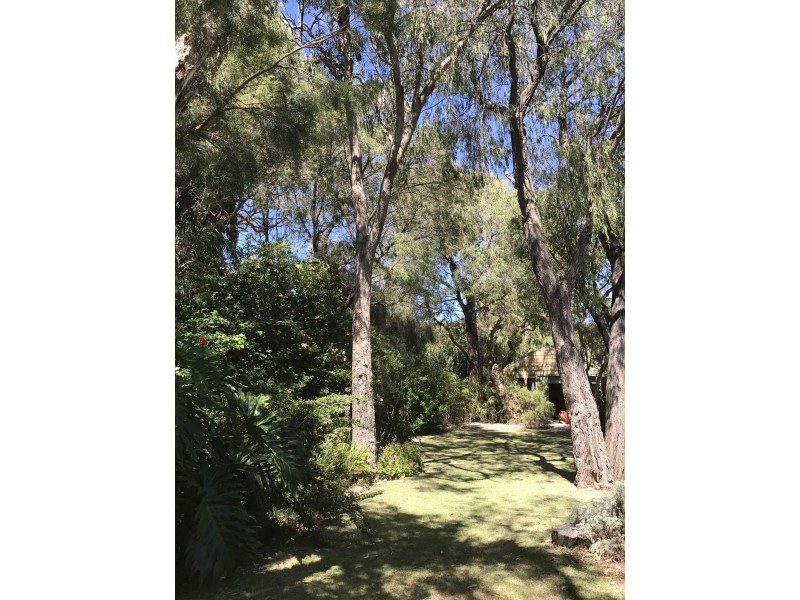 3 Kalgaritch Avenue, West Busselton WA 6280