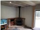 1560 Collombatti Road, Collombatti NSW 2440