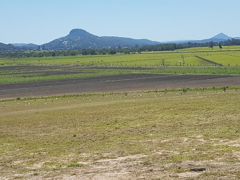 179 Lefoes road, Bli Bli QLD 4560