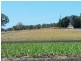 179 Lefoes road, Bli Bli QLD 4560