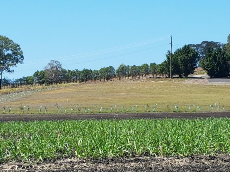 179 Lefoes road, Bli Bli QLD 4560