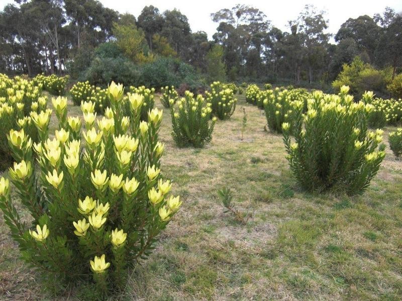 395 Back Corringle Road, Corringle VIC 3888