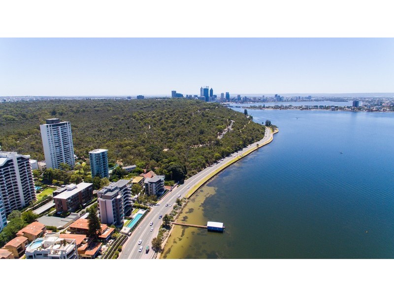 16 Kings Park Avenue, Crawley WA 6009