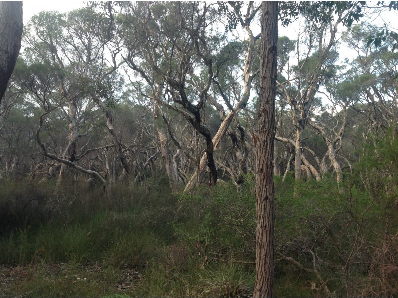 80 Sabina Drive, Molloy Island WA 6290