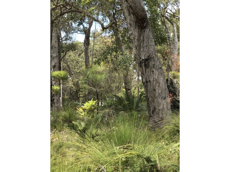 80 Sabina Drive, Molloy Island WA 6290