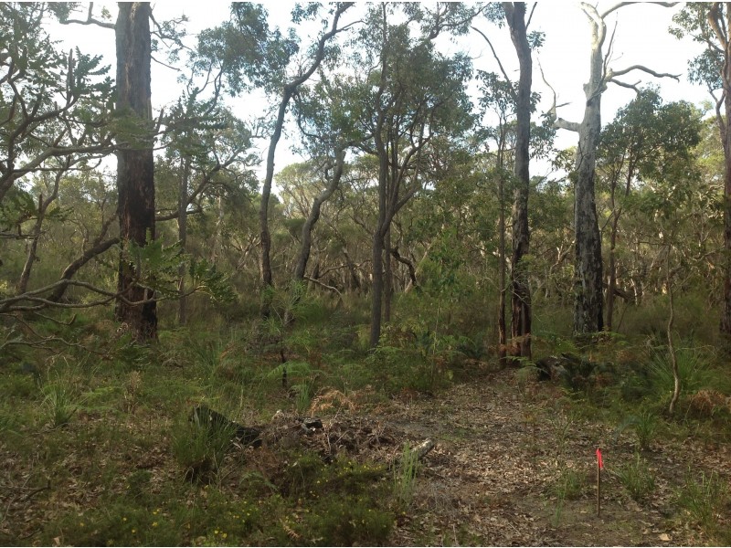 80 Sabina Drive, Molloy Island WA 6290