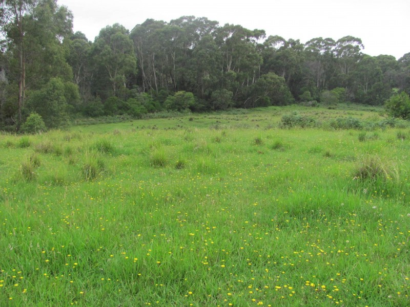 Lot 3, 375 Wamban Road, Moruya NSW 2537