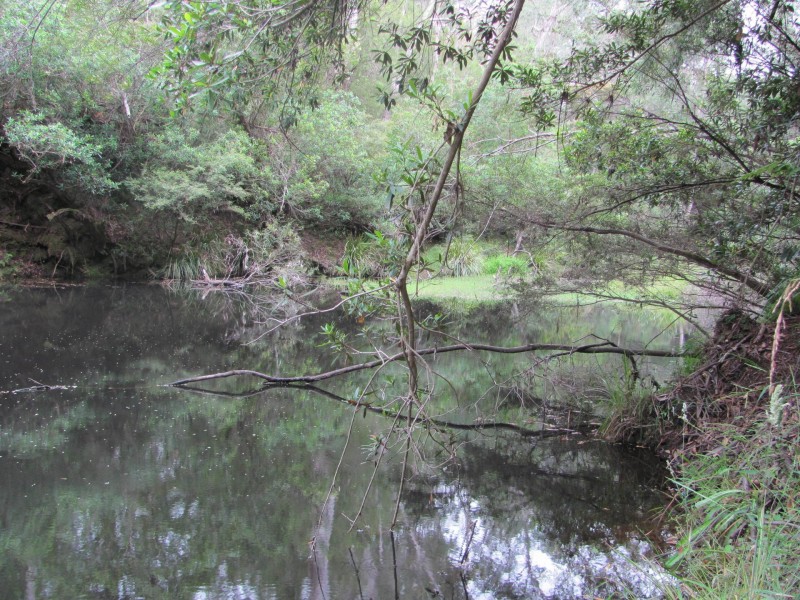 Lot 3, 375 Wamban Road, Moruya NSW 2537