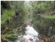 Lot 3, 375 Wamban Road, Moruya NSW 2537