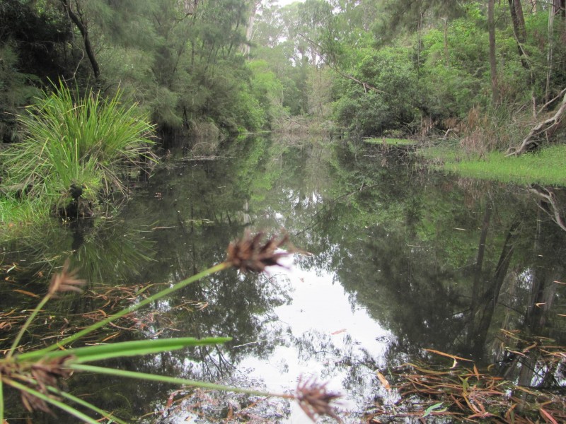 Lot 3, 375 Wamban Road, Moruya NSW 2537