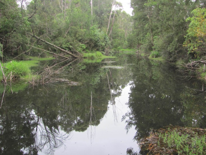 Lot 3, 375 Wamban Road, Moruya NSW 2537