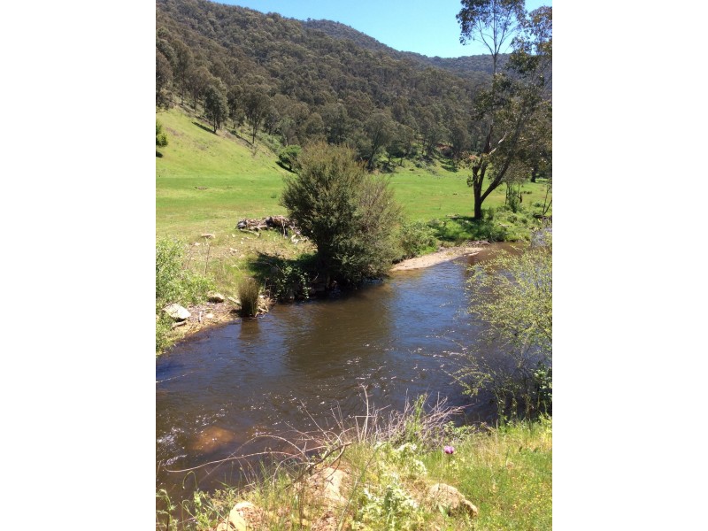 1776 Thowgla Road, Thowgla Valley VIC 3707