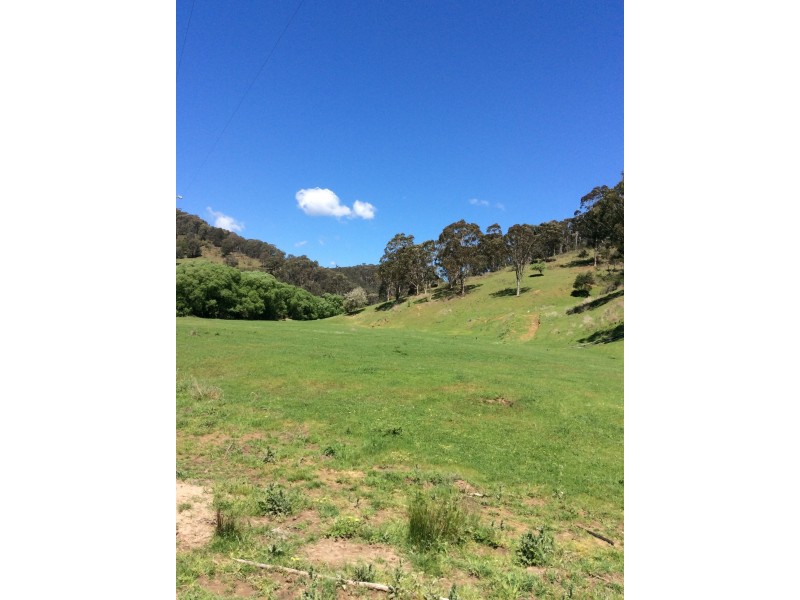 1776 Thowgla Road, Thowgla Valley VIC 3707