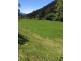1776 Thowgla Road, Thowgla Valley VIC 3707