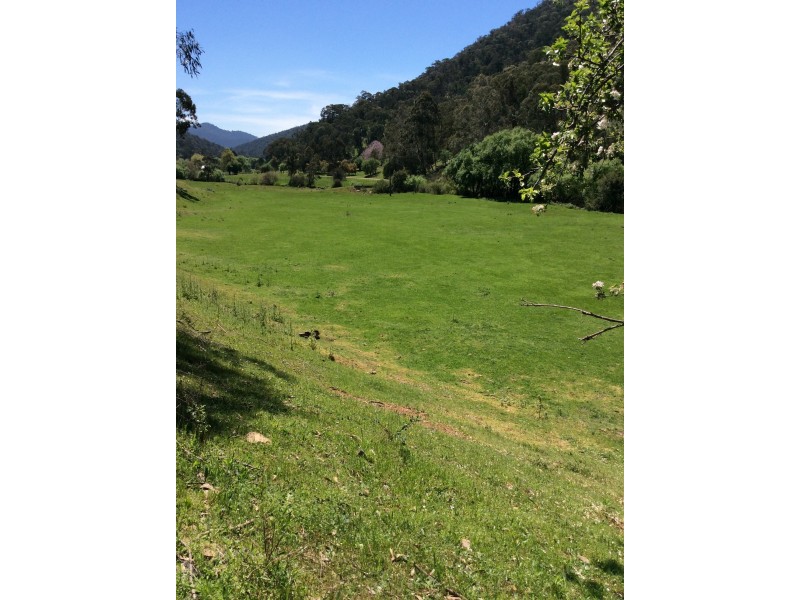 1776 Thowgla Road, Thowgla Valley VIC 3707