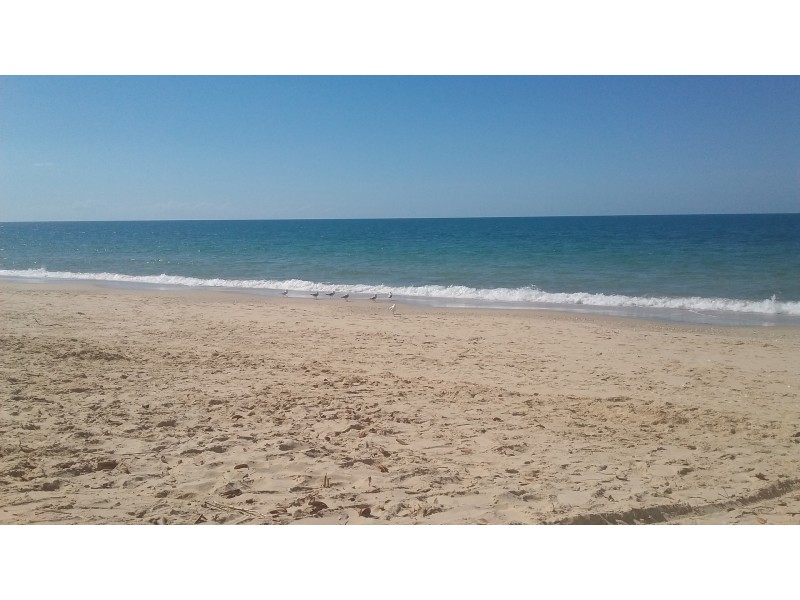 14 Oak Street, Woodgate QLD 4660