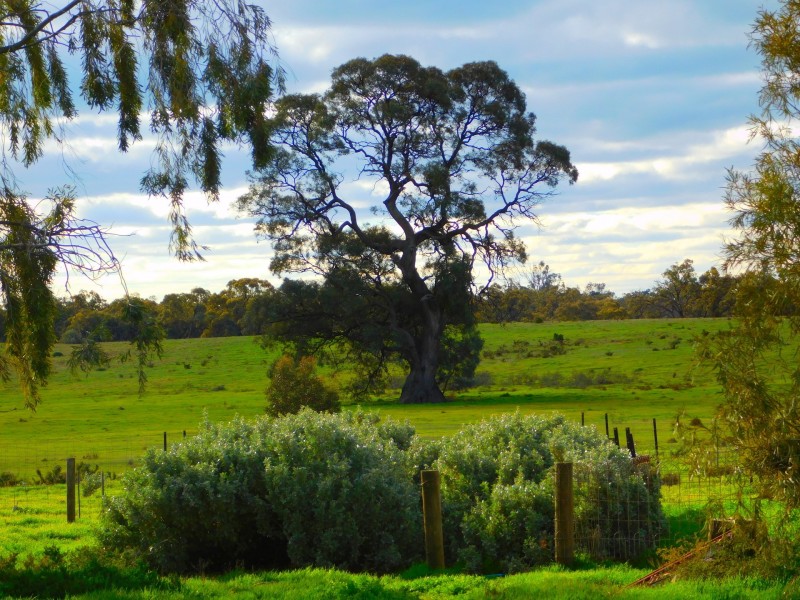 3861 Nhill Jeparit Road, Jeparit VIC 3423