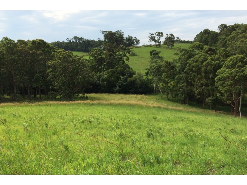 6 Torside Close, Tallwoods Village NSW 2430