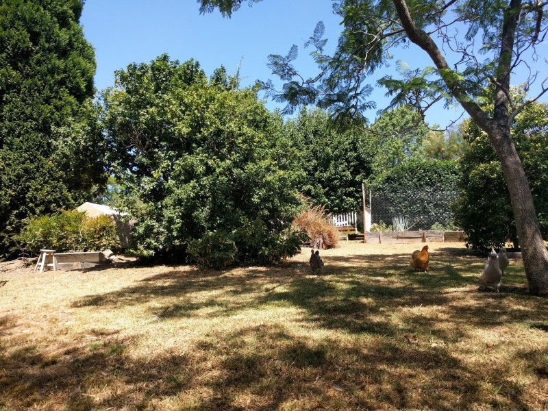 33 Wyong Street, Morisset NSW 2264