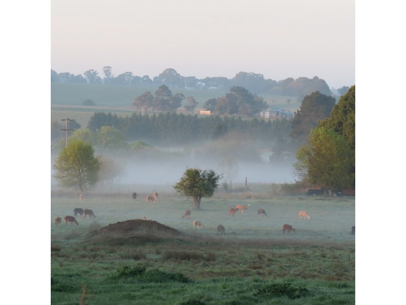 24 RESERVOIR ROAD, Crookwell NSW 2583