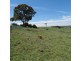 24 Reservoir Road, Crookwell NSW 2583