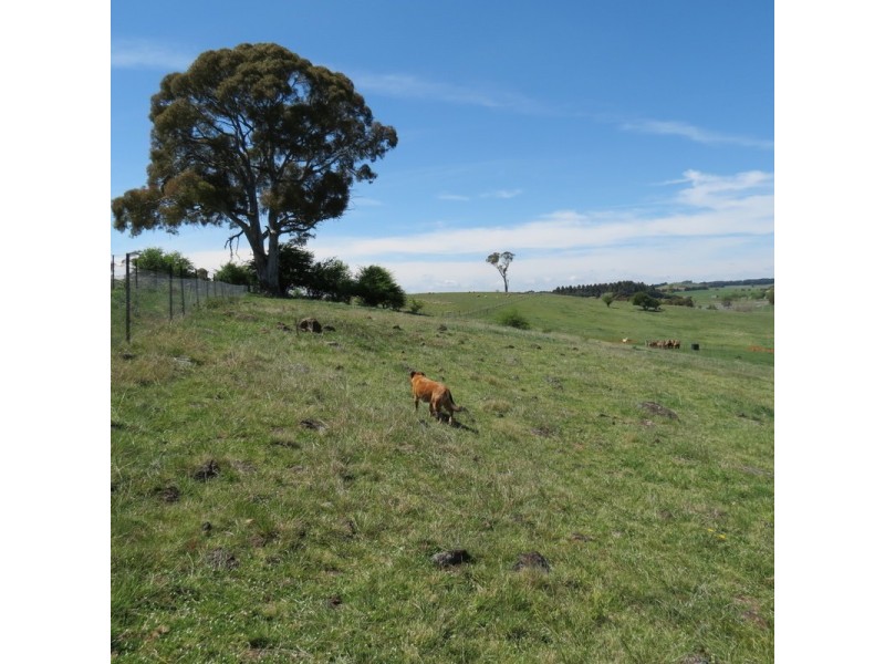 24 Reservoir Road, Crookwell NSW 2583