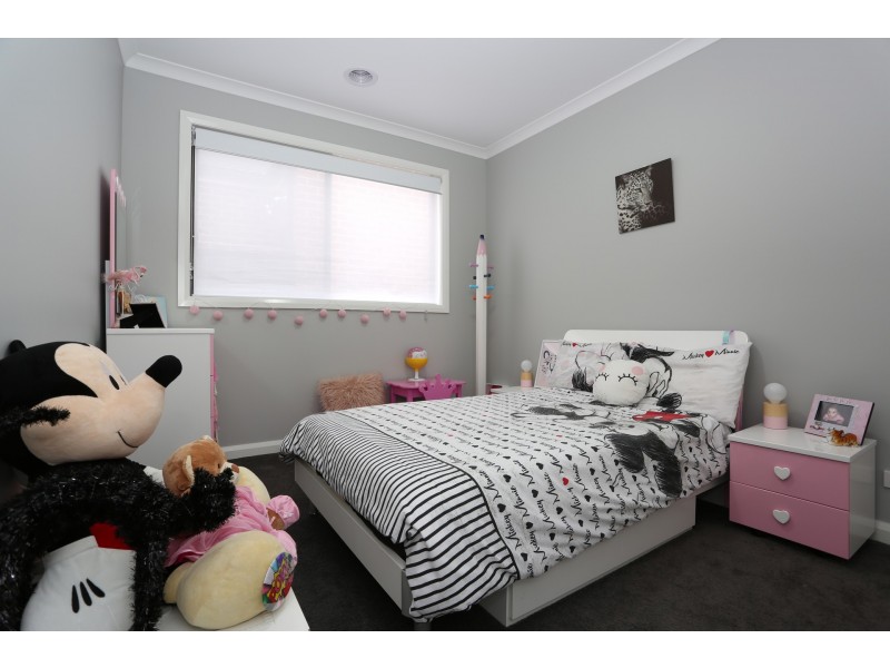 19 Pioneer Street, Craigieburn VIC 3064