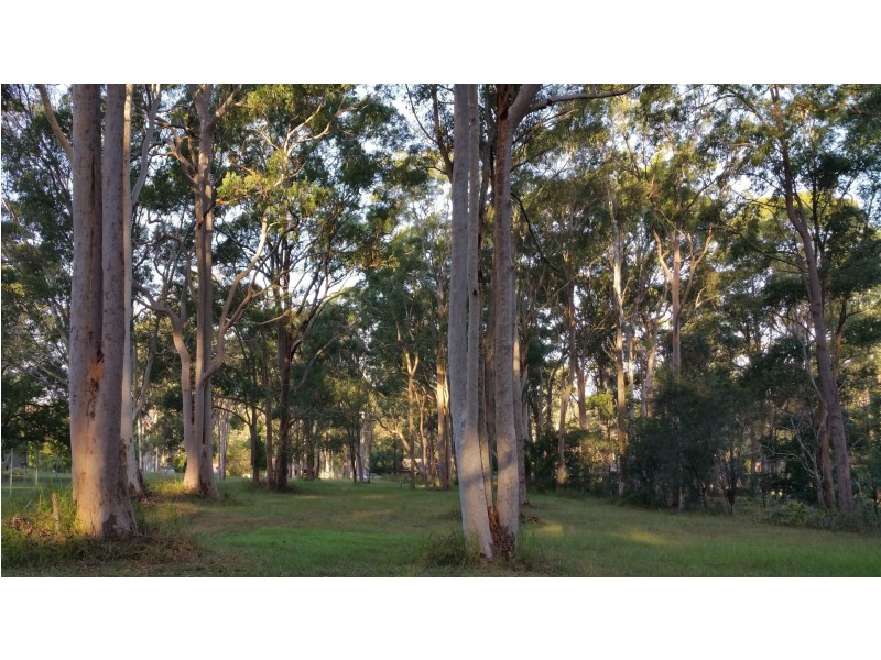 7A Karwin Road, Medowie NSW 2318