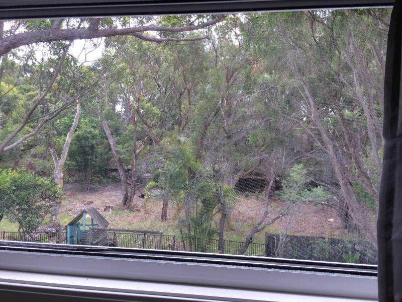 44 Koorangi Avenue, Elanora Heights NSW 2101