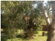 8 Balcolyn Street, Balcolyn NSW 2264