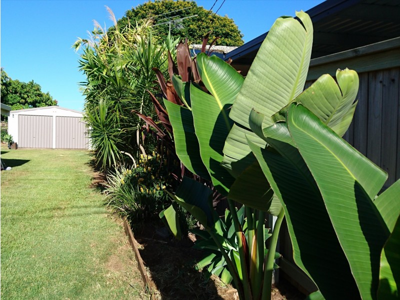 20 Lowry Street, Slacks Creek QLD 4127