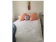 H2/160 The Round Drive, Avoca Beach NSW 2251