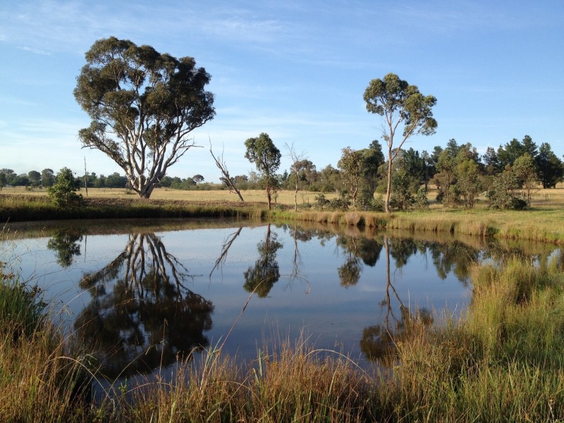 838 Castledoyle Rd, Armidale NSW 2350