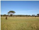 838 Castledoyle Rd, Armidale NSW 2350