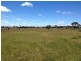 838 Castledoyle Rd, Armidale NSW 2350