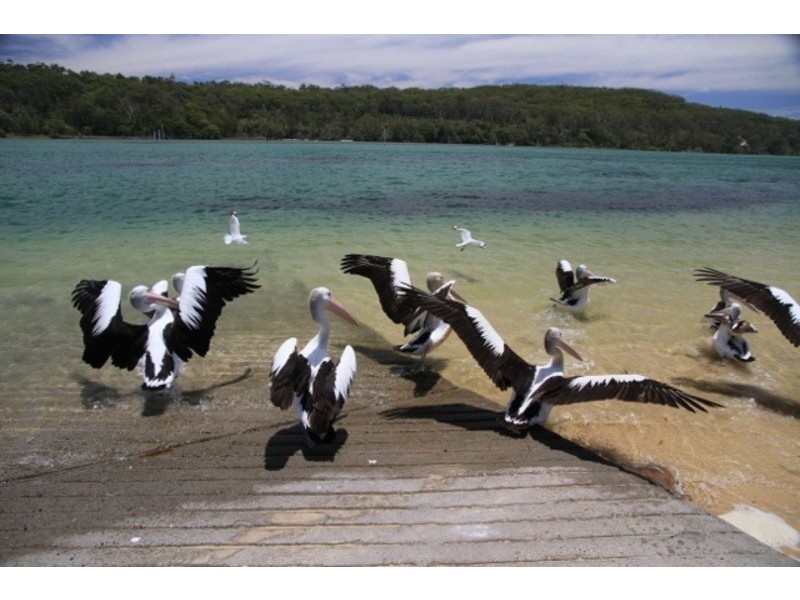 10/383 North Street, Wooli NSW 2462