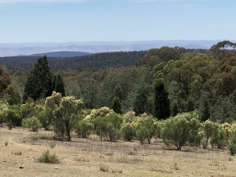 Lot 5 Warrumba Road, Bumbaldry NSW 2794