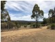 Lot 5 Warrumba Road, Bumbaldry NSW 2794