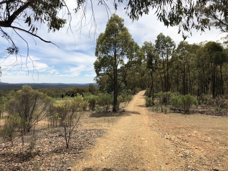Lot 5 Warrumba Road, Bumbaldry NSW 2794