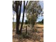 Lot 5 Warrumba Road, Bumbaldry NSW 2794