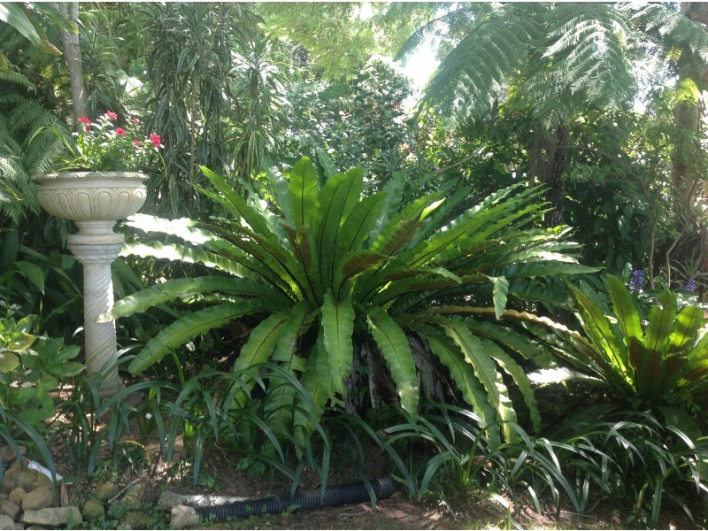 30 Comboyne Street, Kendall NSW 2439