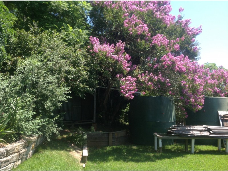 30 Comboyne Street, Kendall NSW 2439