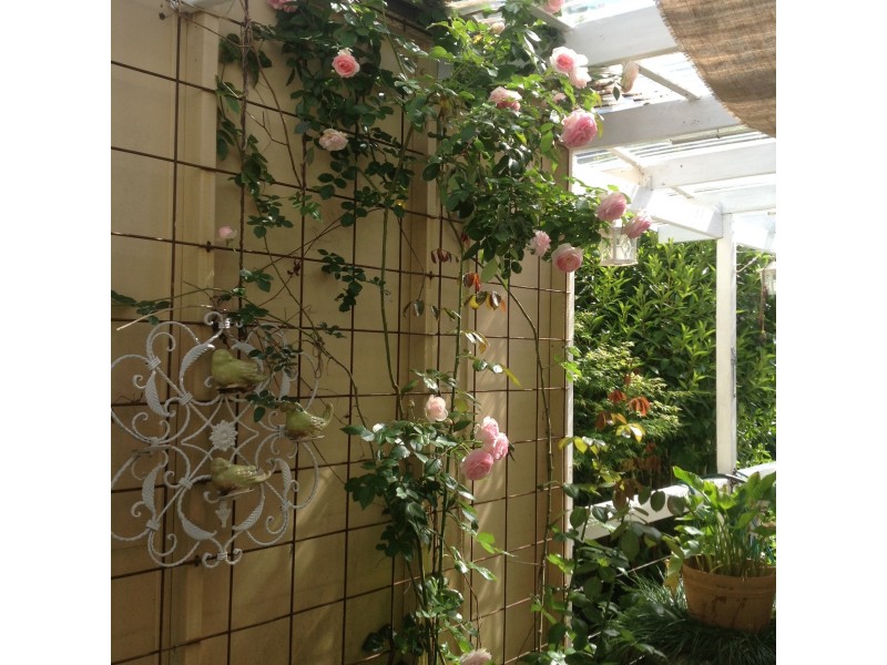 30 Comboyne Street, Kendall NSW 2439