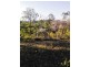 223 Mortimer Road, Calliope QLD 4680